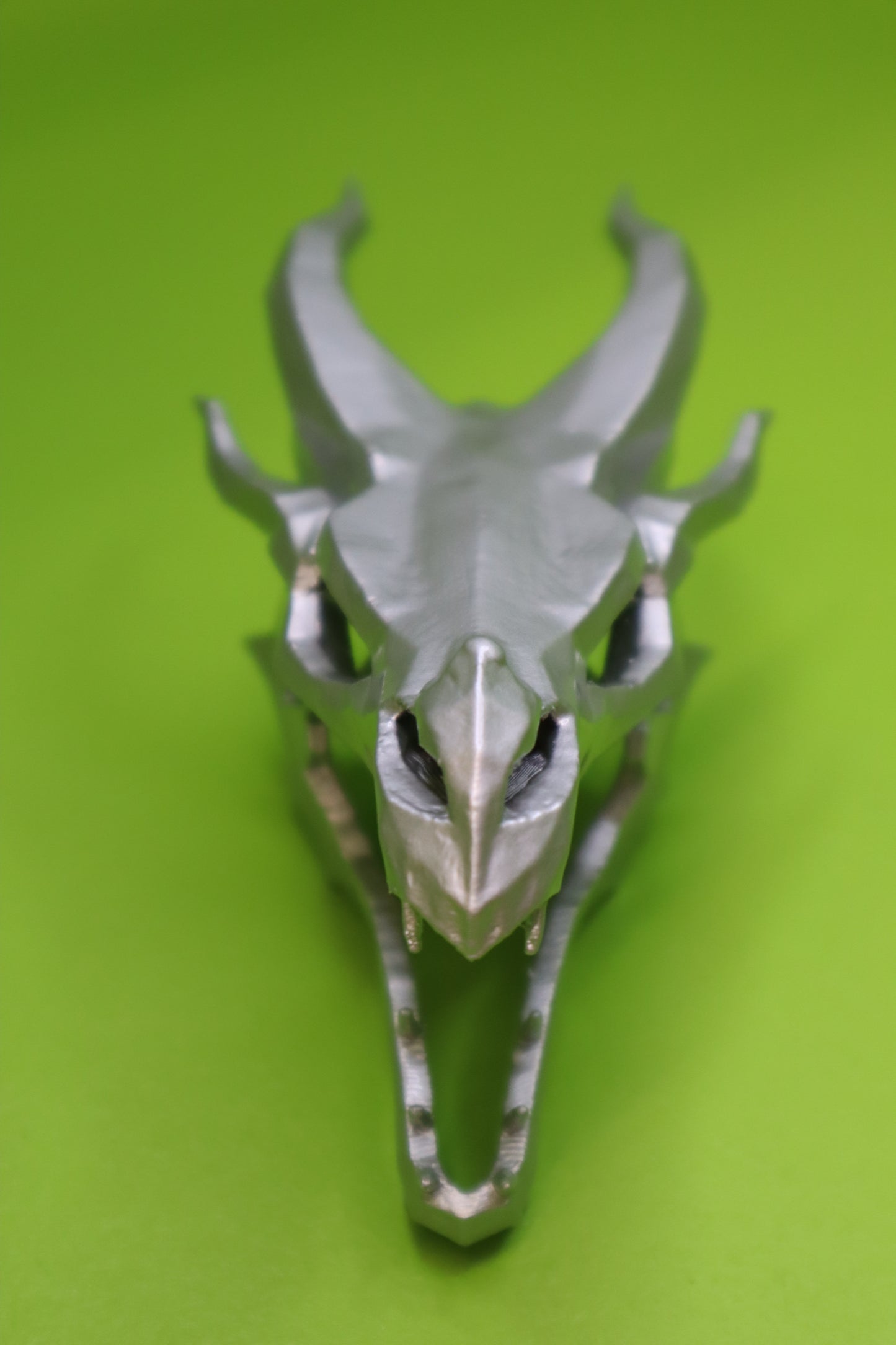 Dragon Skull (Sparse Print)